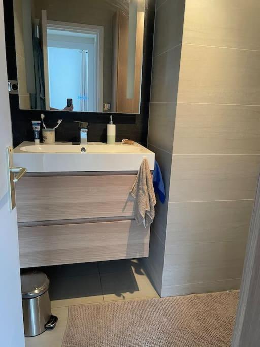 Appartement A 150M Du Lac- Plage De L'Imperial Аннесі Екстер'єр фото